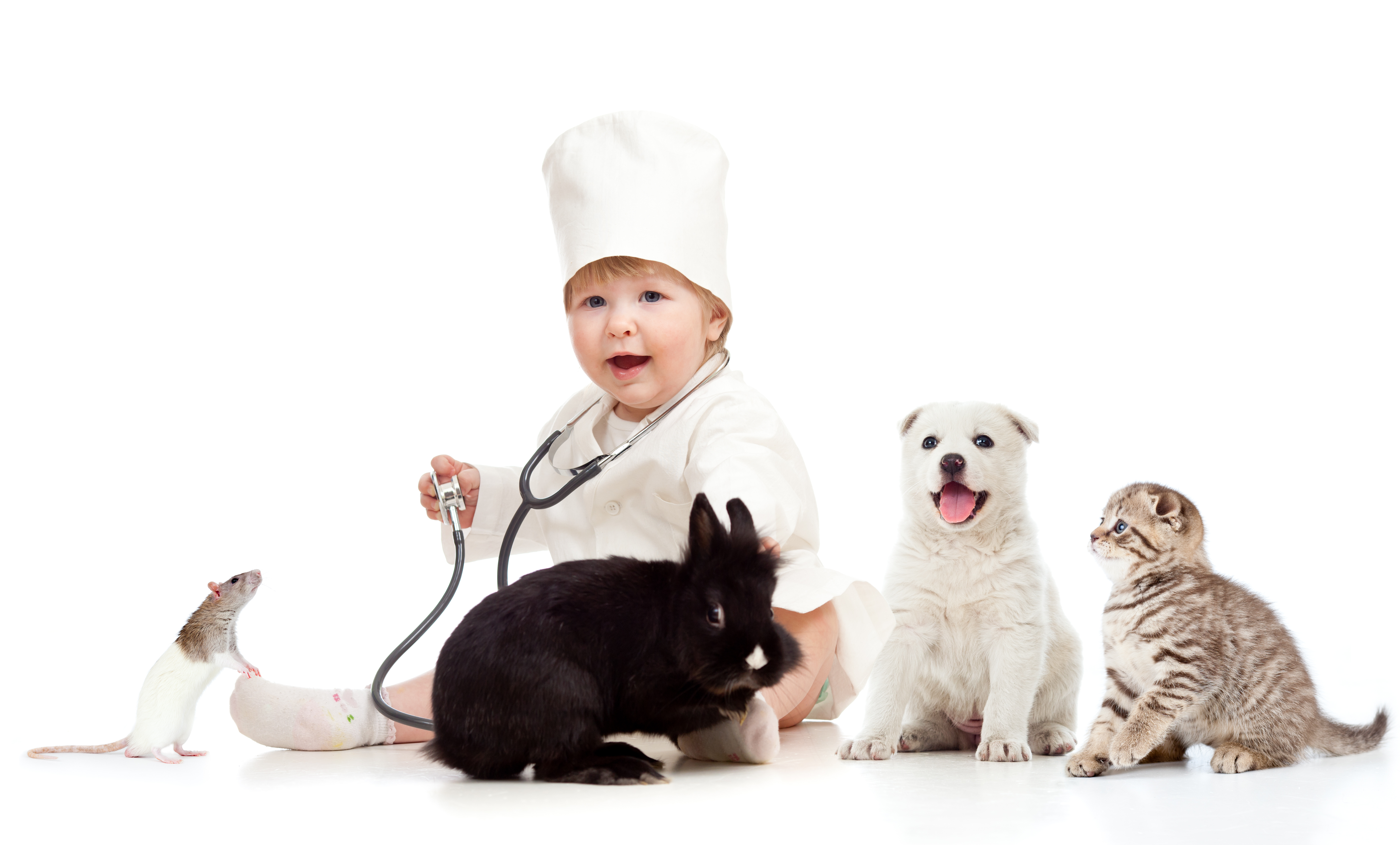 © Oksun70 | Dreamstime.com